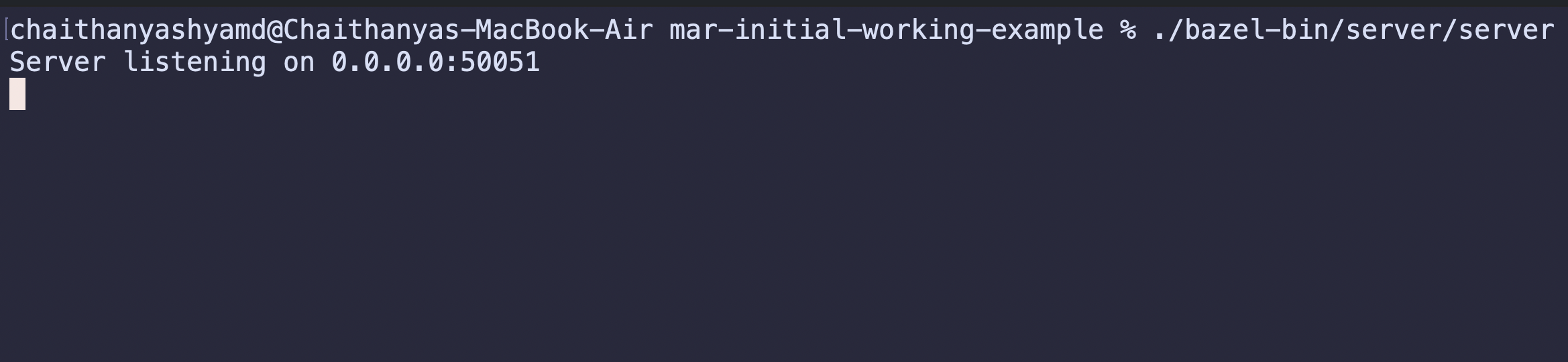 Initial Metal API Remoter server listening on port 50051